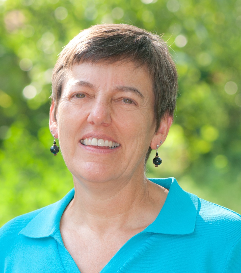 Mary Anne McGuire