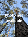 copy_of_photonotavailable.png