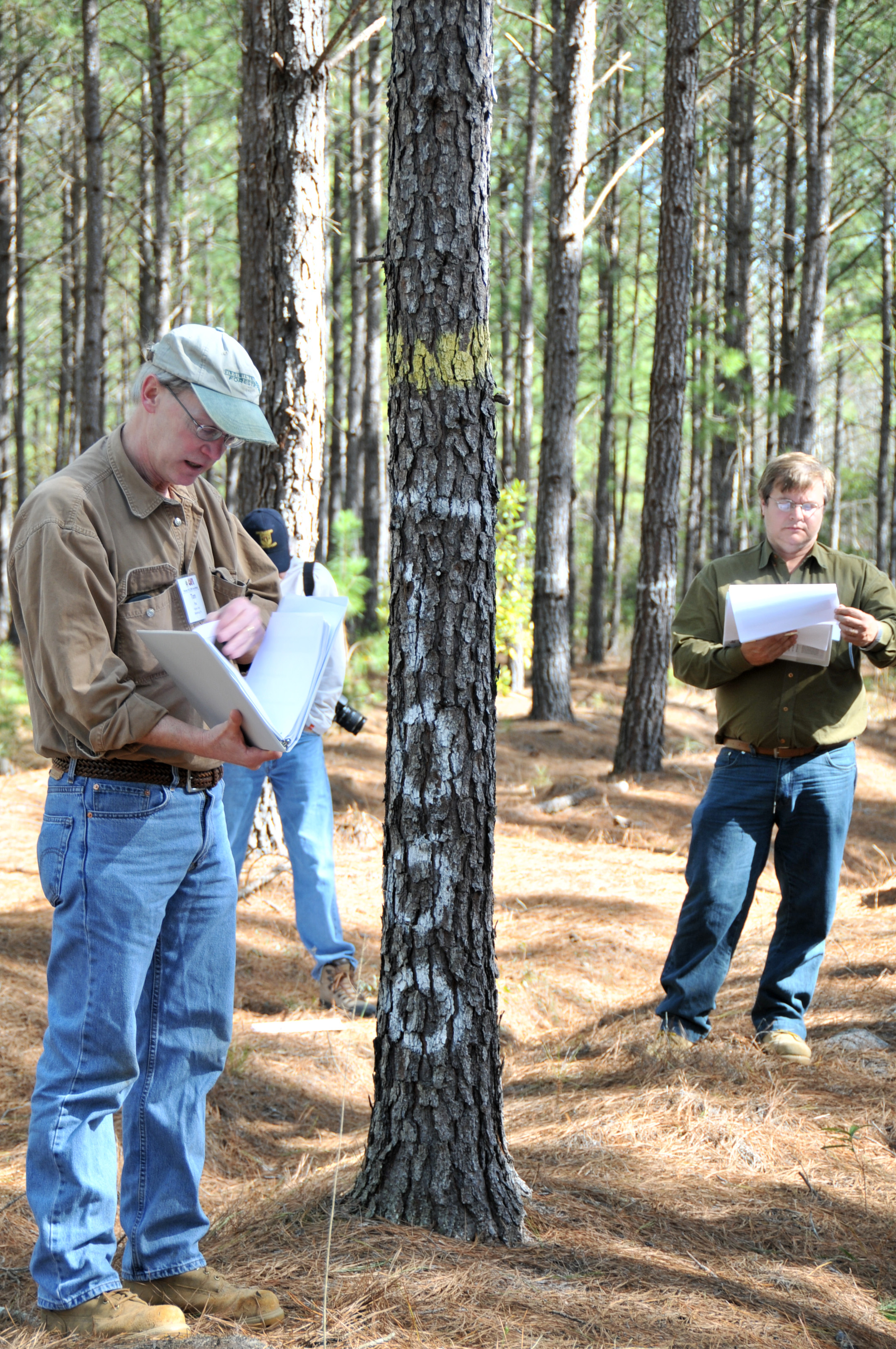 Dr. Tom Fox discusses loblolly pine management with forest industry representatives. Photo courtesy of John Seiler. 