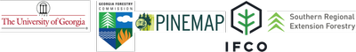 GrowingPinesLogo