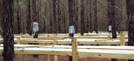 Florida Tier 3_Rainfall exclusion and sap flow