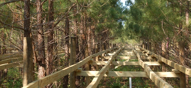 GA Tier III installation