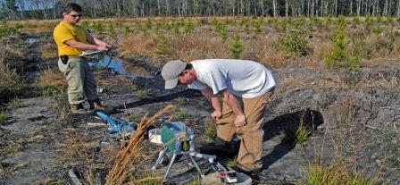 Measuring soil CO2 efflux