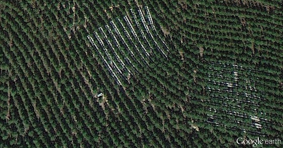 Google Earth Image_OK Tier III Site