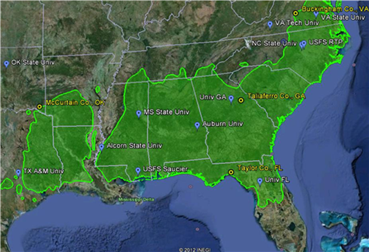 PINEMAP Map