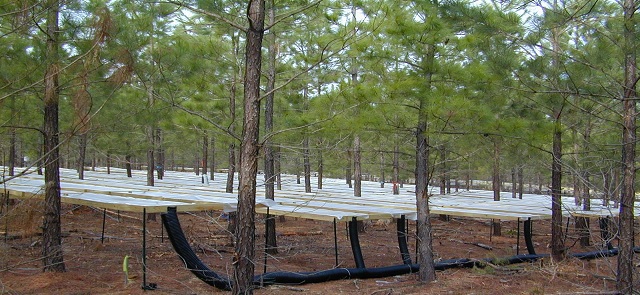Completed enclosure--VA Tier III site