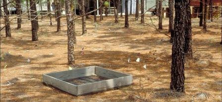 Litter trap