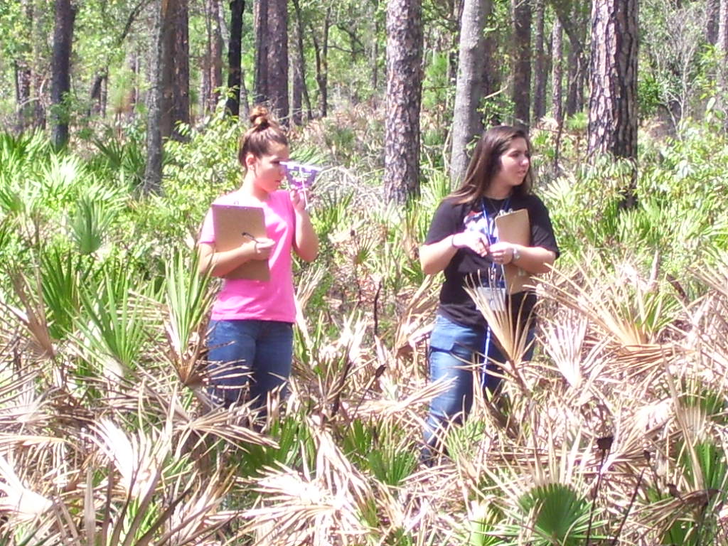 PLT Secondary Module_Pilot Testing_Summer 2012_6
