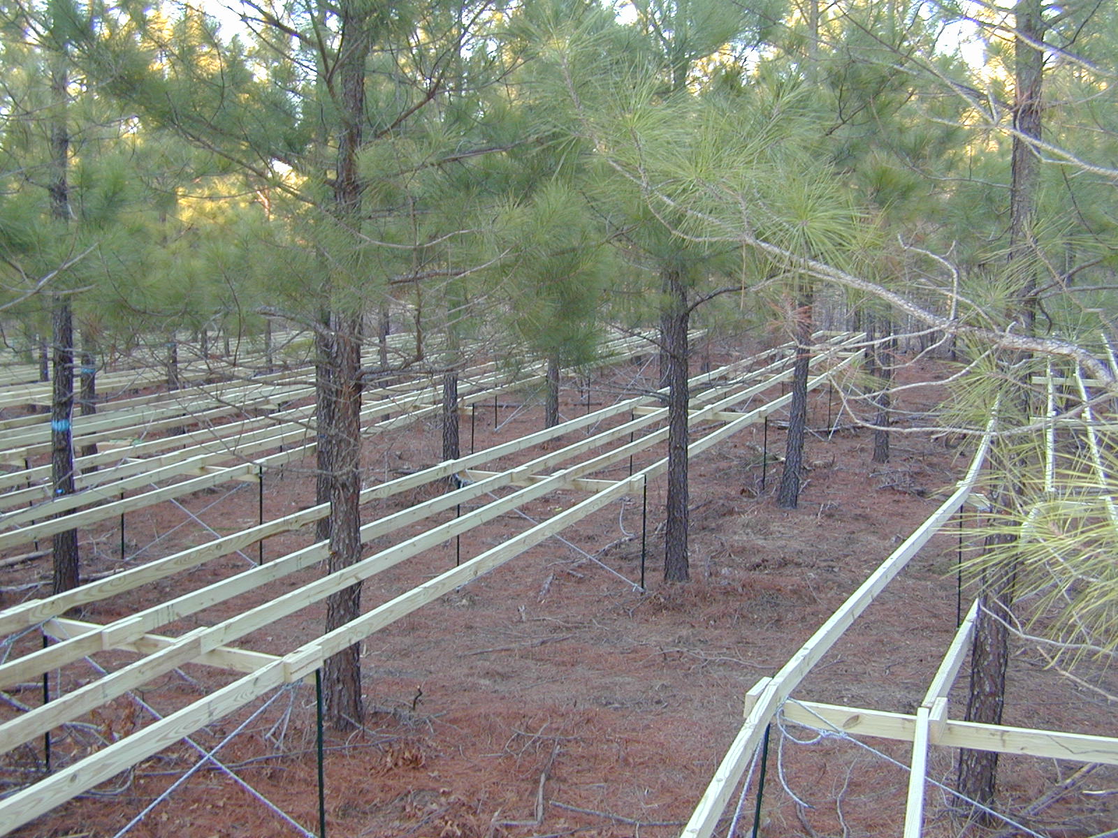 VA Tier III Installation 3