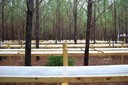 Florida Tier III_Rainfall Exclusion Structures_3