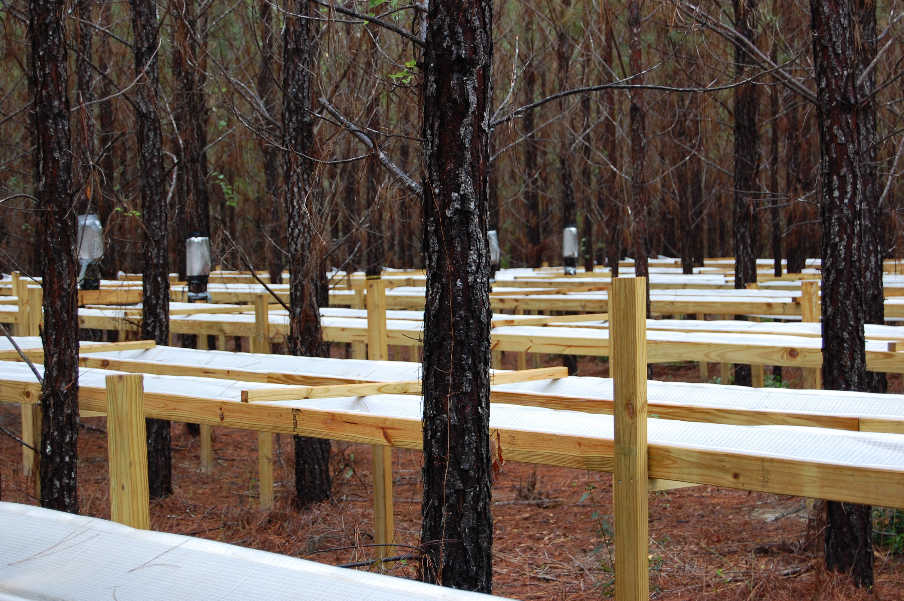 Florida Tier III_Rainfall Exclusion Structures_4