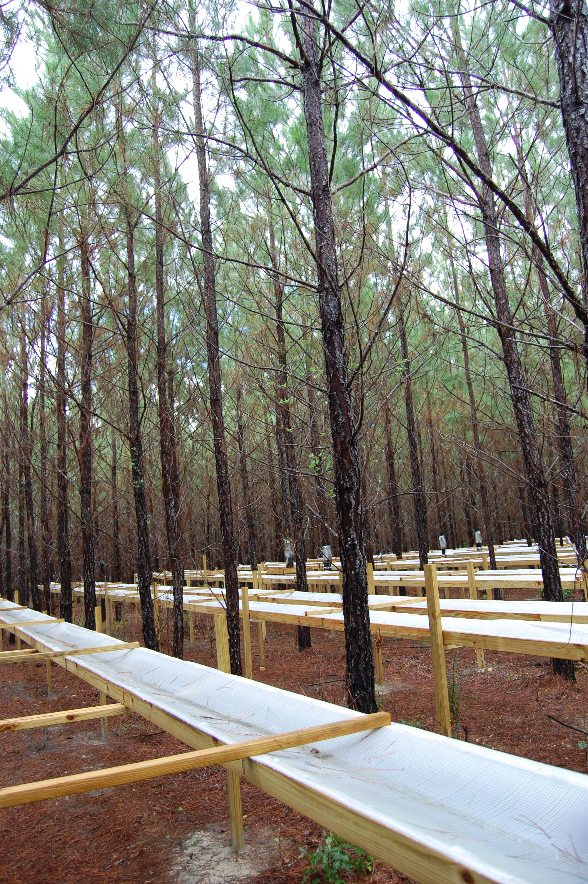 Florida Tier III_Rainfall Exclusion Structures_5