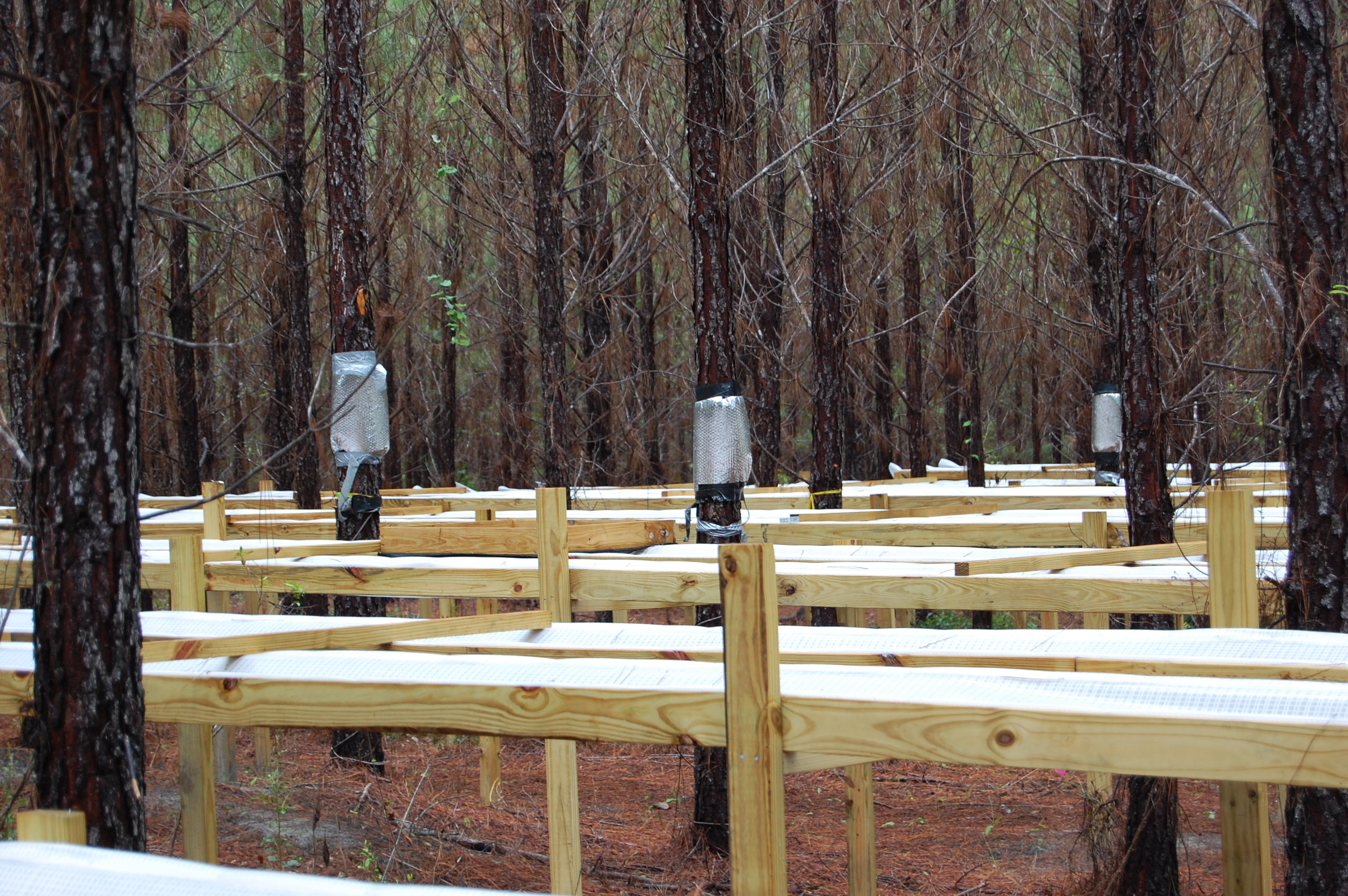 Florida Tier III_Rainfall Exclusion Structures_6