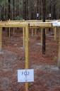 Florida Tier III_FD2