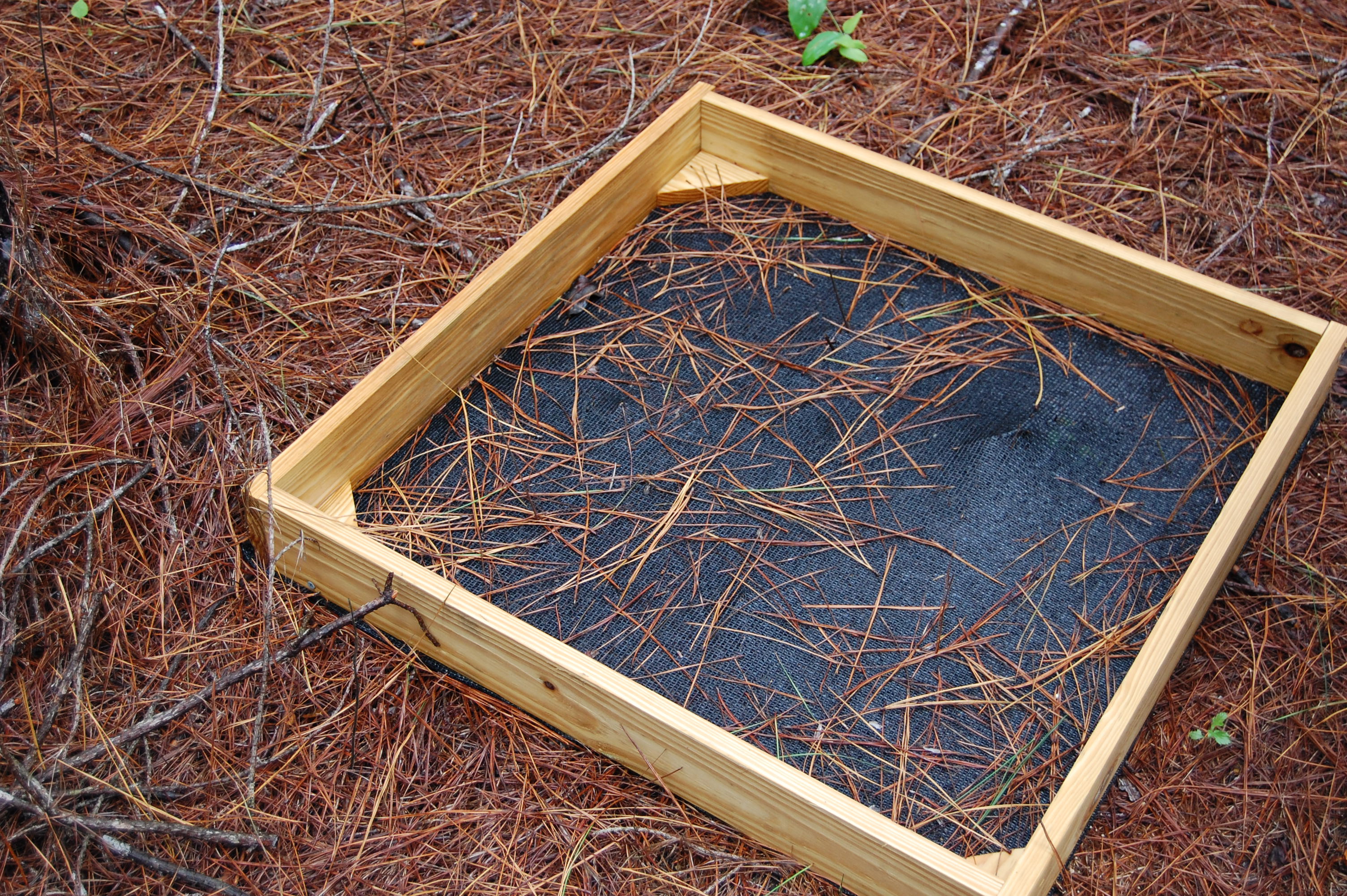 Florida Tier III_Litter Trap