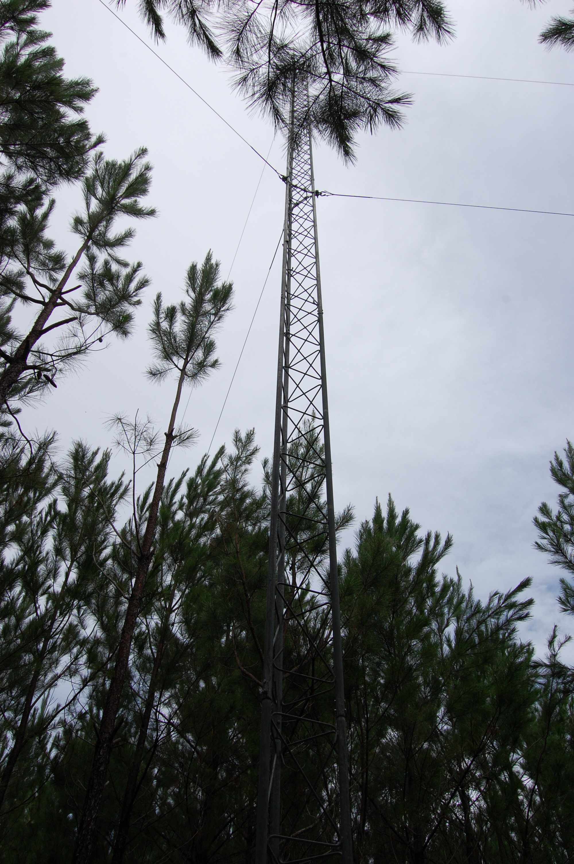 Florida Tier III_Weather Station_2