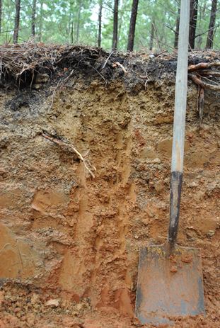 Soil pit at Virginia Tier III site