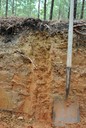 Soil pit at Virginia Tier III site