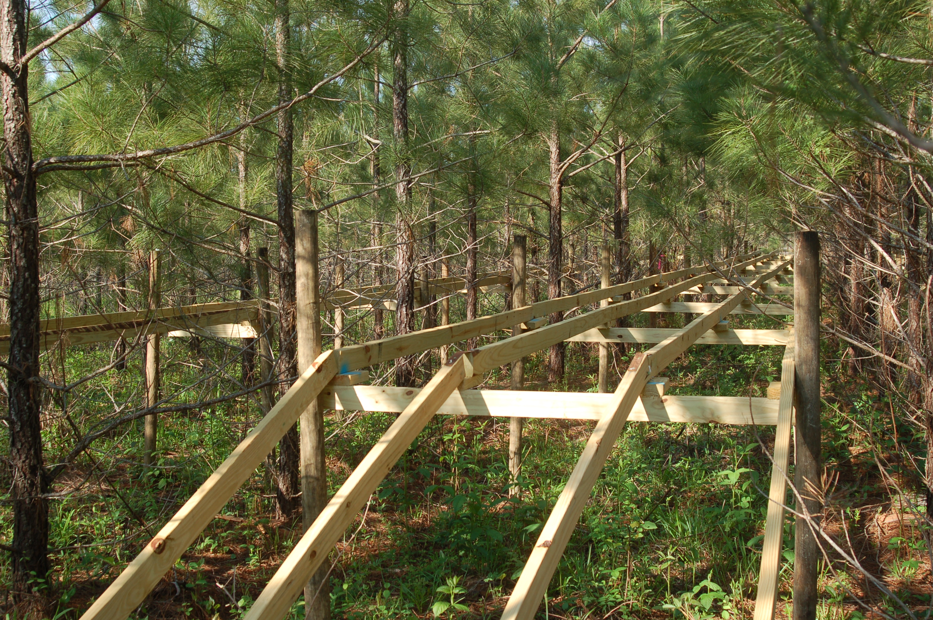 GA Tier III Installation 1