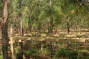 GA Tier III installation 3