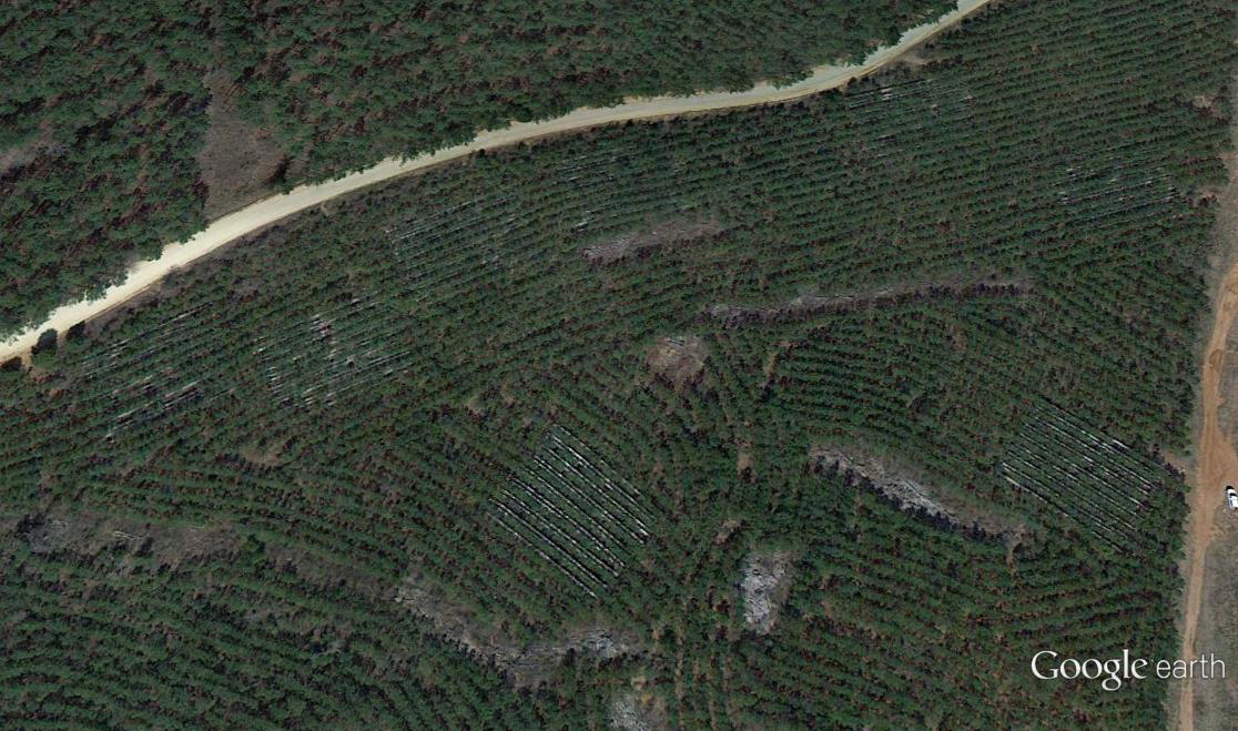 Google Earth Image_GA Tier III site
