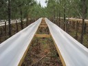 GA Tier III_troughs