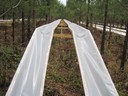 GA Tier III_ramps off plot