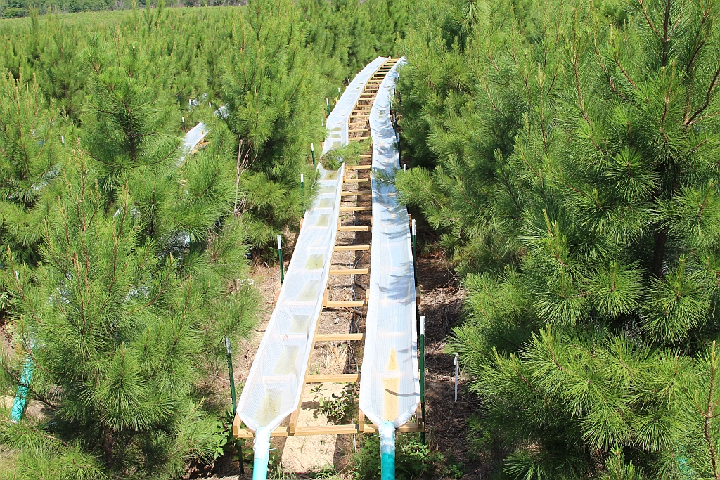 OK Tier III site_4