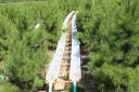 OK Tier III site_4