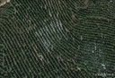 Google Earth Image_OK Tier III Site