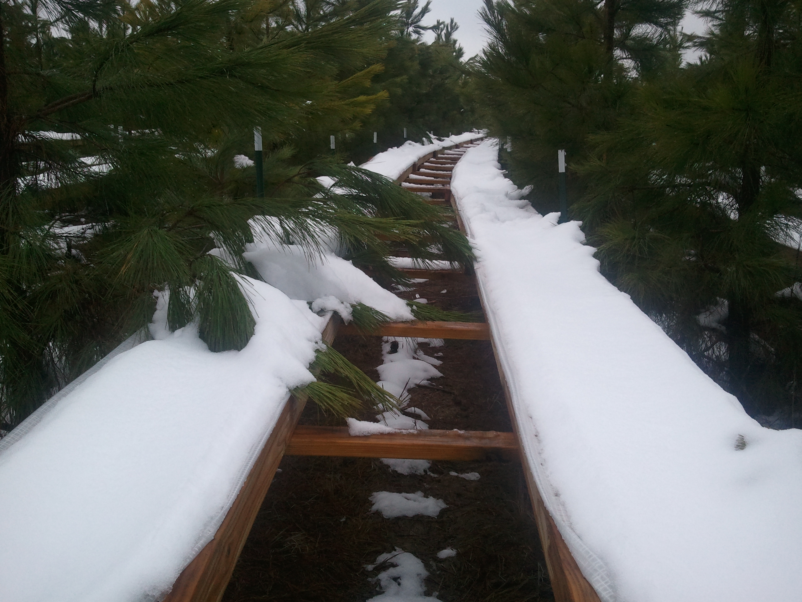 OK Tier III snow
