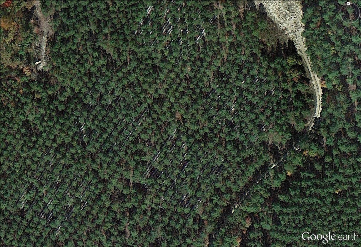 Google Earth Image_VA Tier III Site