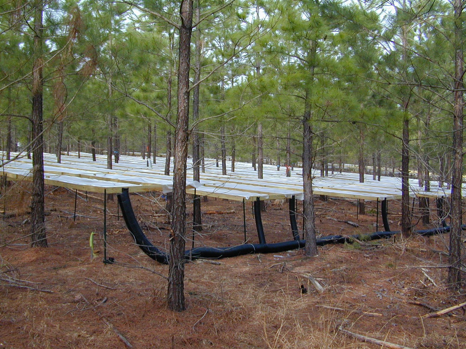 Tier III site Buckingham County, Virginia