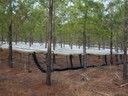 Tier III site Buckingham County, Virginia