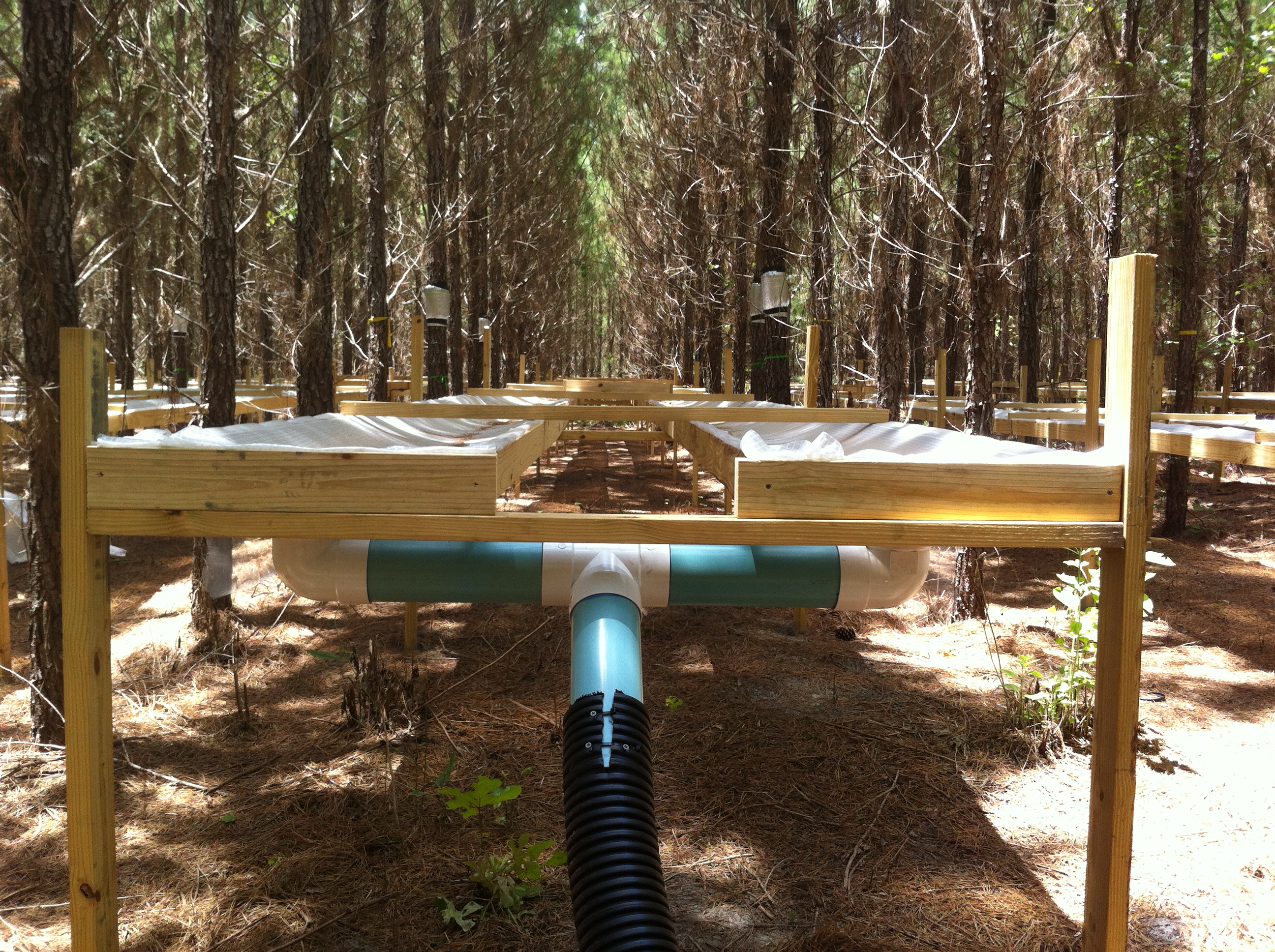 Florida Tier III research site_Drainage design
