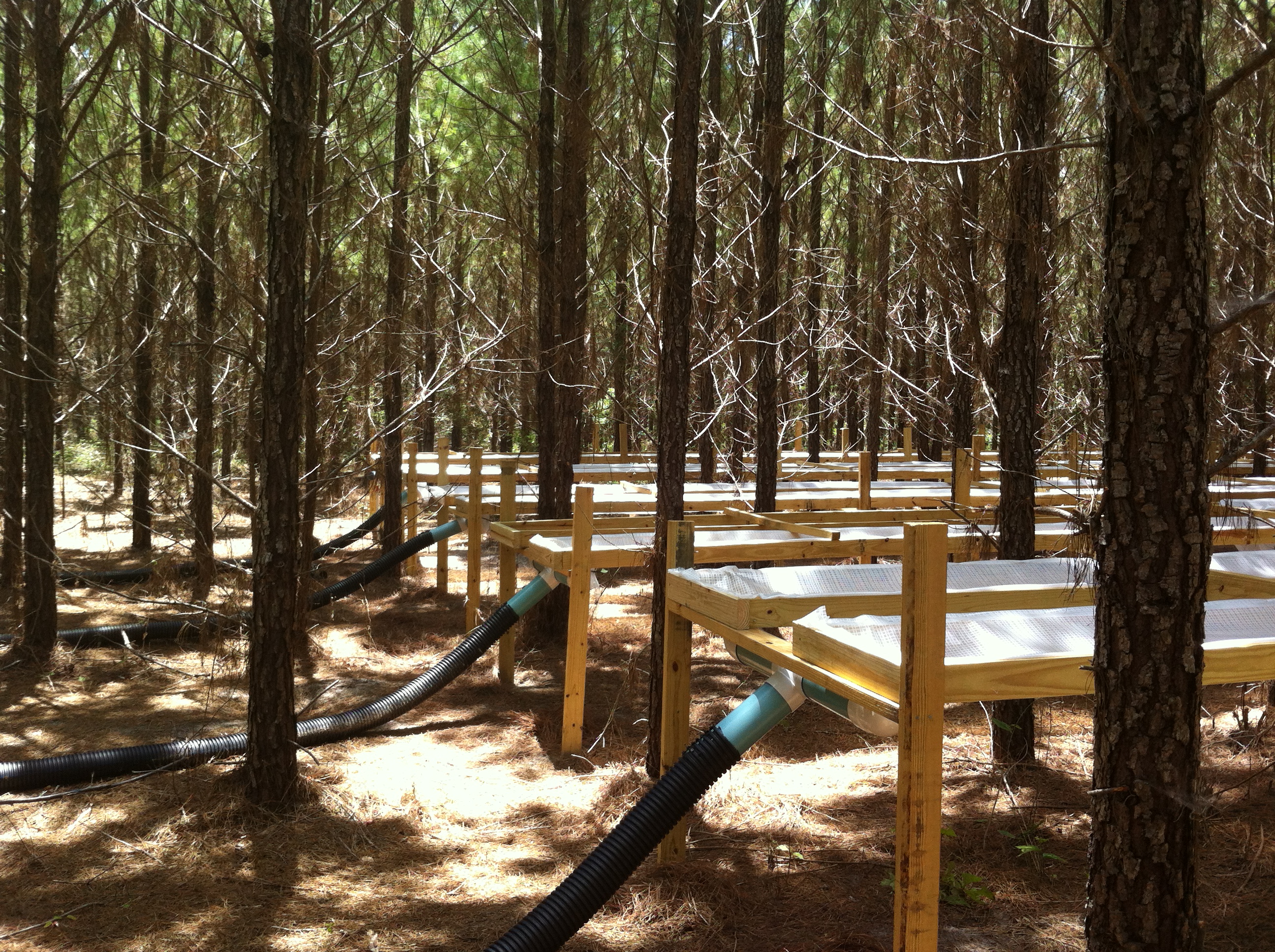 Florida Tier III_Drainage Design 2