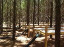 Florida Tier III_Drainage Design 2