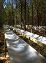 Florida Tier III_Rainfall Exclusion Structures