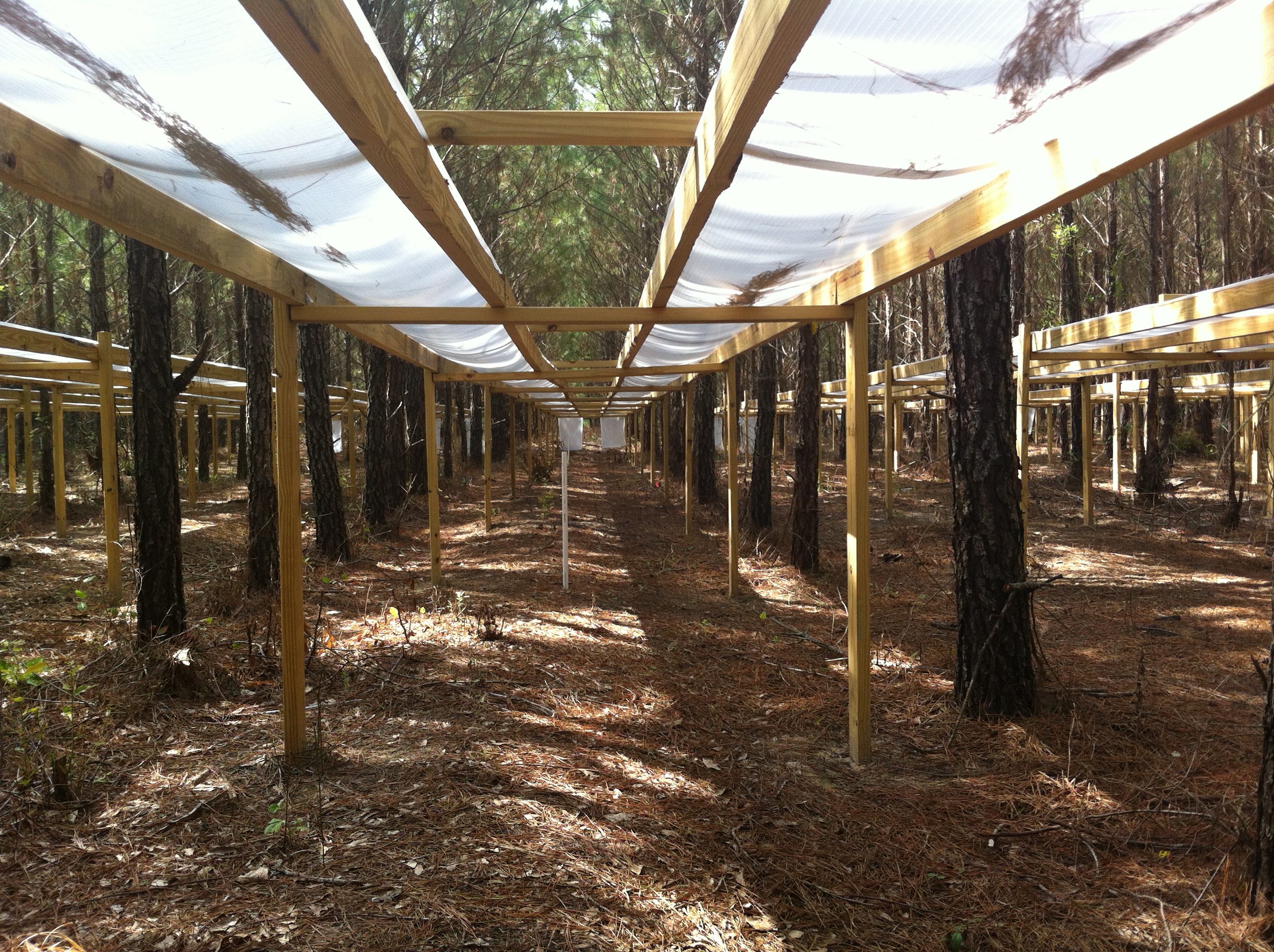 Florida Tier III_Post Herbicide