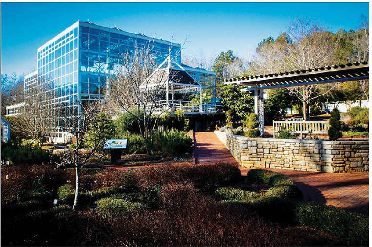 botanical garden
