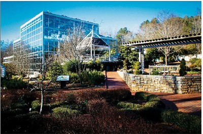 botanical garden