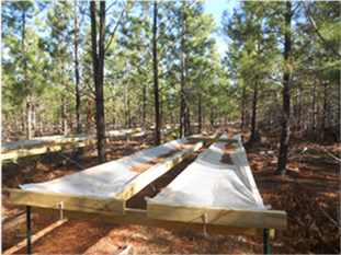 Completed prototype of rain throughfall exclusion structure at Tier III site in Buckingham County, Virginia. Photo courtesy of Tom Fox.