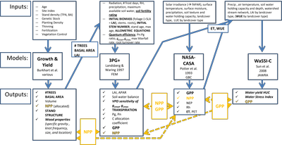 PINEMAP models diagram.