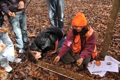 Forestry Education
